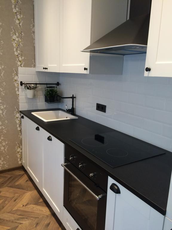 Luxury Apartment Druskininkai Exterior foto